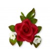 Kytica ruža